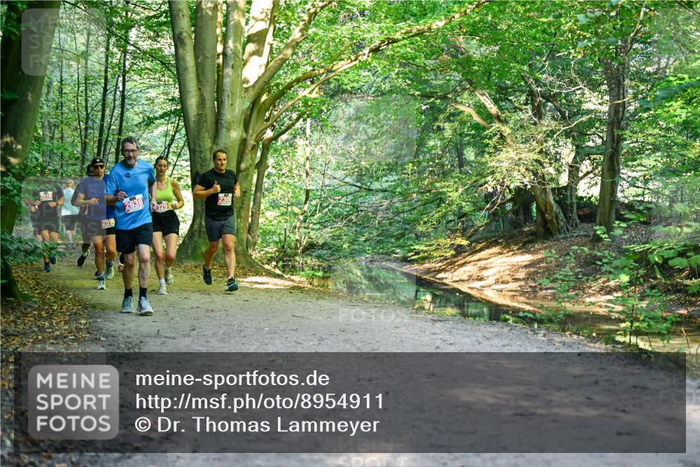 28.09.2025 - 33. Volkslauf durch das schöne Alstertal Dr. Thomas Lammeyer http://msf.ph/oto/8954911 28.09.2025 10:40:09 Laufen 2516, 2590, 2638, 29, 2300 meine-sportfotos.de