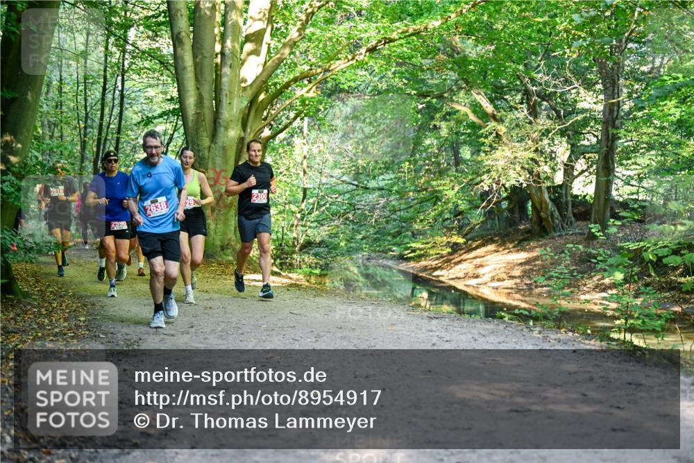 28.09.2025 - 33. Volkslauf durch das schöne Alstertal Dr. Thomas Lammeyer http://msf.ph/oto/8954917 28.09.2025 10:40:10 Laufen 2516, 2638, 29, 2300, 2590 meine-sportfotos.de