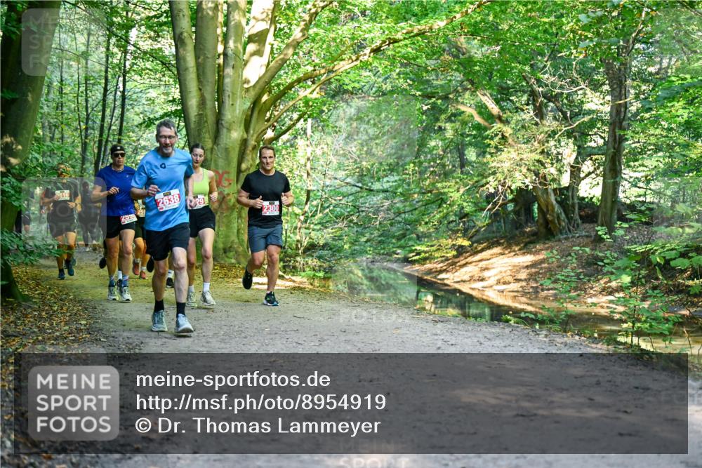 28.09.2025 - 33. Volkslauf durch das schöne Alstertal Dr. Thomas Lammeyer http://msf.ph/oto/8954919 28.09.2025 10:40:10 Laufen 516, 2590, 2638, 29, 2300 meine-sportfotos.de