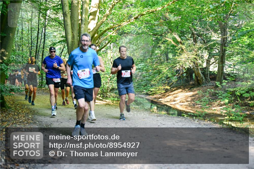 28.09.2025 - 33. Volkslauf durch das schöne Alstertal Dr. Thomas Lammeyer http://msf.ph/oto/8954927 28.09.2025 10:40:11 Laufen 2516, 2590, 259, 2300 meine-sportfotos.de