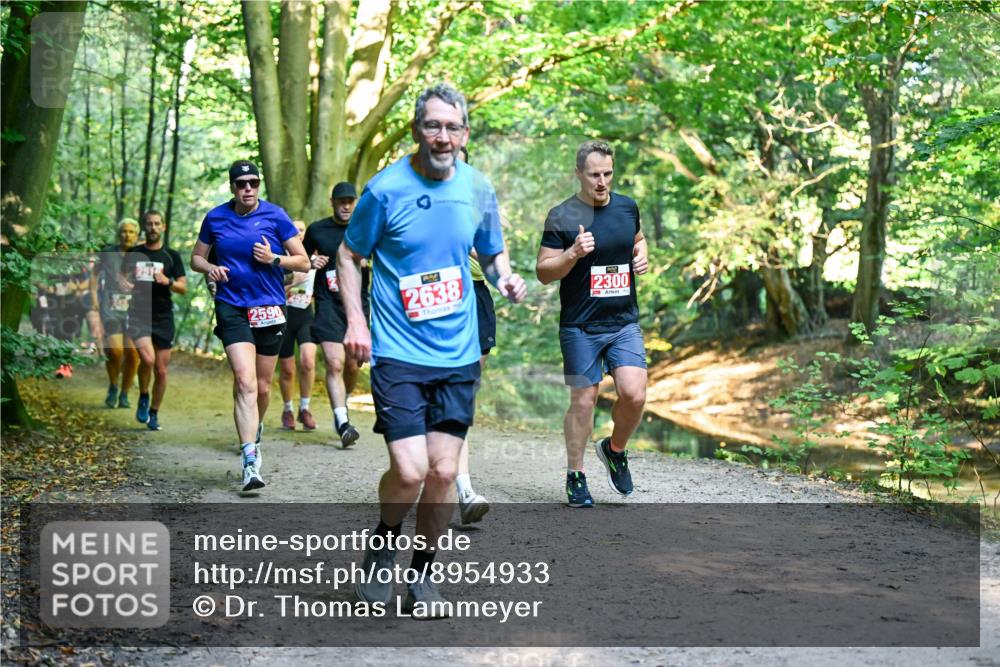 28.09.2025 - 33. Volkslauf durch das schöne Alstertal Dr. Thomas Lammeyer http://msf.ph/oto/8954933 28.09.2025 10:40:12 Laufen 2590, 2638, 2300 meine-sportfotos.de
