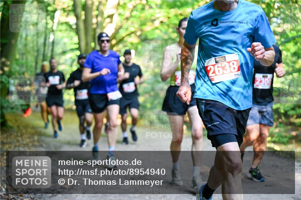28.09.2025 - 33. Volkslauf durch das schöne Alstertal Dr. Thomas Lammeyer http://msf.ph/oto/8954940 28.09.2025 10:40:13 Laufen 2638, 23, 00 meine-sportfotos.de