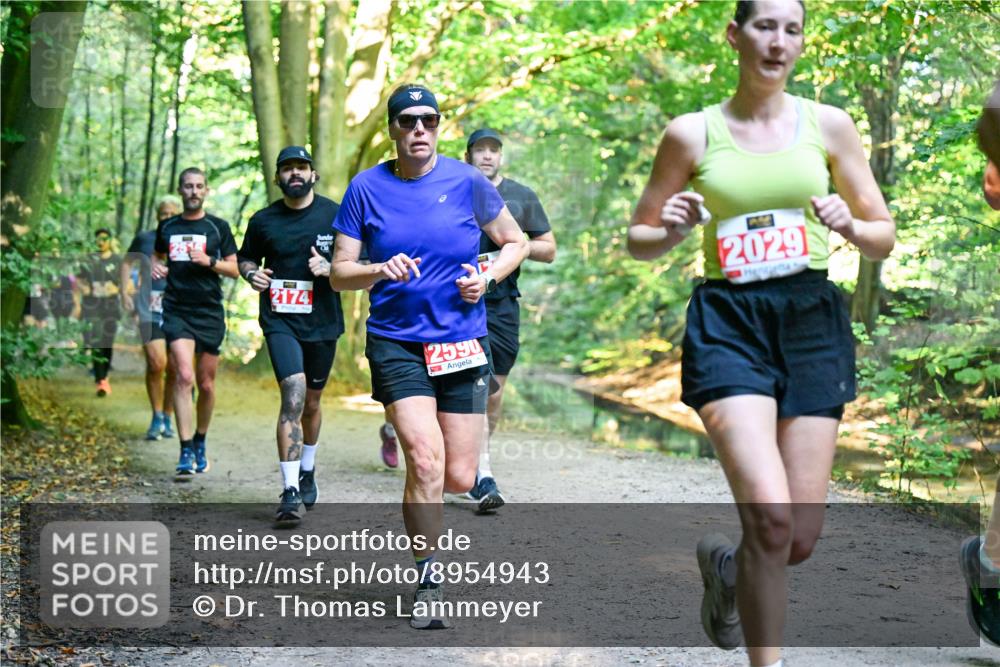 28.09.2025 - 33. Volkslauf durch das schöne Alstertal Dr. Thomas Lammeyer http://msf.ph/oto/8954943 28.09.2025 10:40:13 Laufen 2174, 2590, 2029 meine-sportfotos.de