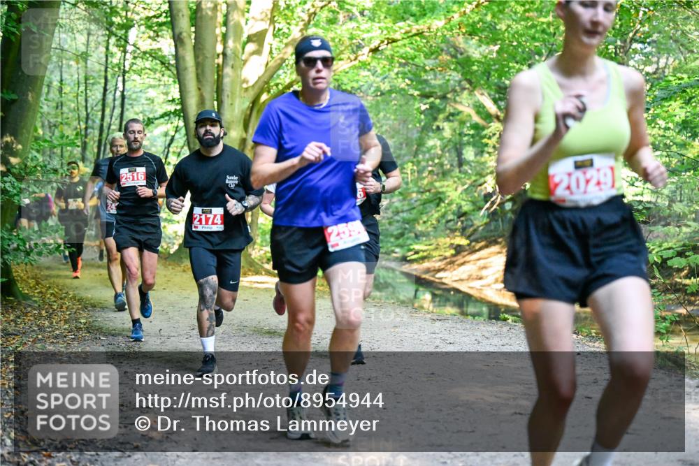 28.09.2025 - 33. Volkslauf durch das schöne Alstertal Dr. Thomas Lammeyer http://msf.ph/oto/8954944 28.09.2025 10:40:13 Laufen 2516, 2174, 59, 2029 meine-sportfotos.de
