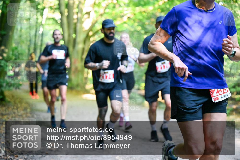 28.09.2025 - 33. Volkslauf durch das schöne Alstertal Dr. Thomas Lammeyer http://msf.ph/oto/8954949 28.09.2025 10:40:14 Laufen 2174 meine-sportfotos.de