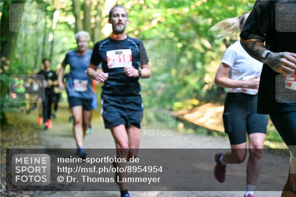 28.09.2025 - 33. Volkslauf durch das schöne Alstertal Dr. Thomas Lammeyer http://msf.ph/oto/8954954 28.09.2025 10:40:16 Laufen 2516 meine-sportfotos.de