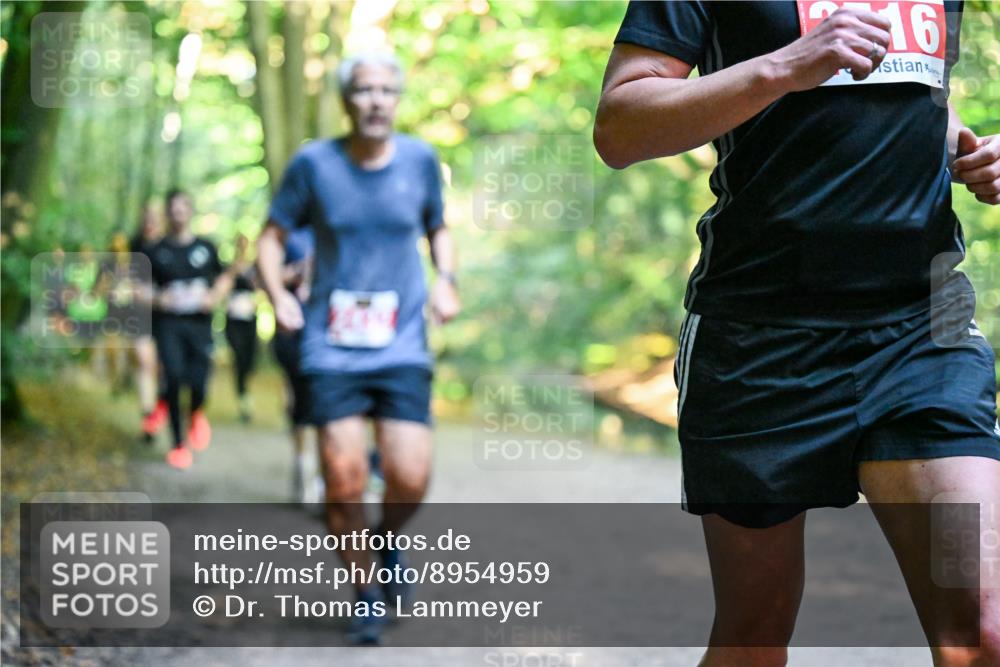 28.09.2025 - 33. Volkslauf durch das schöne Alstertal Dr. Thomas Lammeyer http://msf.ph/oto/8954959 28.09.2025 10:40:16 Laufen 16 meine-sportfotos.de