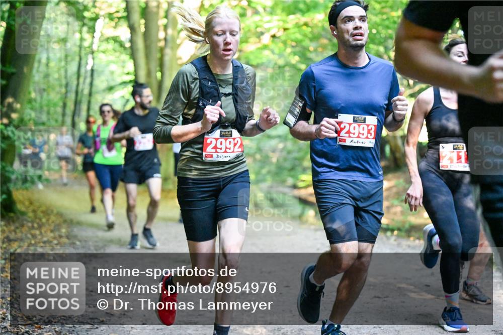 28.09.2025 - 33. Volkslauf durch das schöne Alstertal Dr. Thomas Lammeyer http://msf.ph/oto/8954976 28.09.2025 10:40:20 Laufen 2992, 2993, 211 meine-sportfotos.de