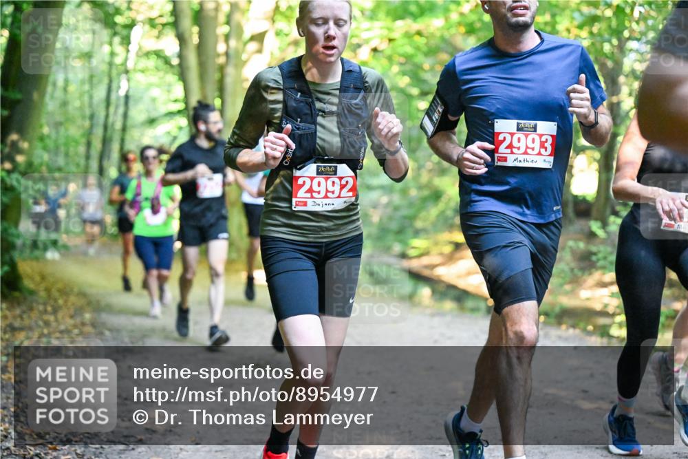 28.09.2025 - 33. Volkslauf durch das schöne Alstertal Dr. Thomas Lammeyer http://msf.ph/oto/8954977 28.09.2025 10:40:20 Laufen 2992, 2993 meine-sportfotos.de