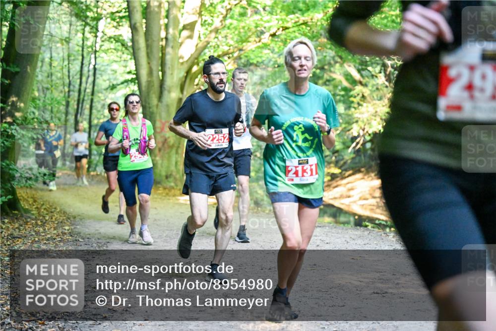 28.09.2025 - 33. Volkslauf durch das schöne Alstertal Dr. Thomas Lammeyer http://msf.ph/oto/8954980 28.09.2025 10:40:21 Laufen 2252, 2131, 29 meine-sportfotos.de