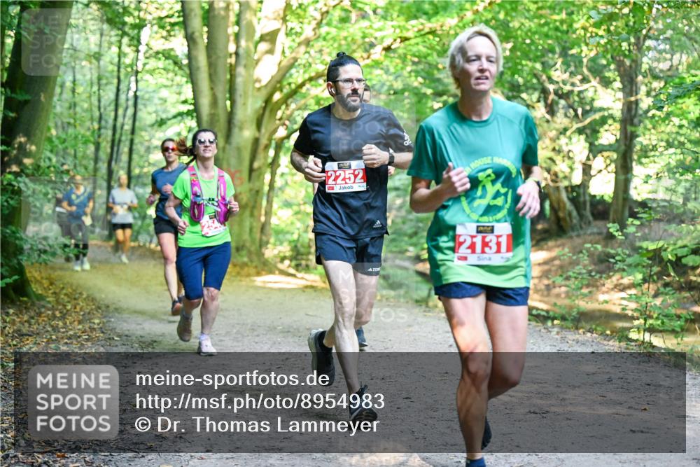 28.09.2025 - 33. Volkslauf durch das schöne Alstertal Dr. Thomas Lammeyer http://msf.ph/oto/8954983 28.09.2025 10:40:21 Laufen 2252, 2, 2131 meine-sportfotos.de
