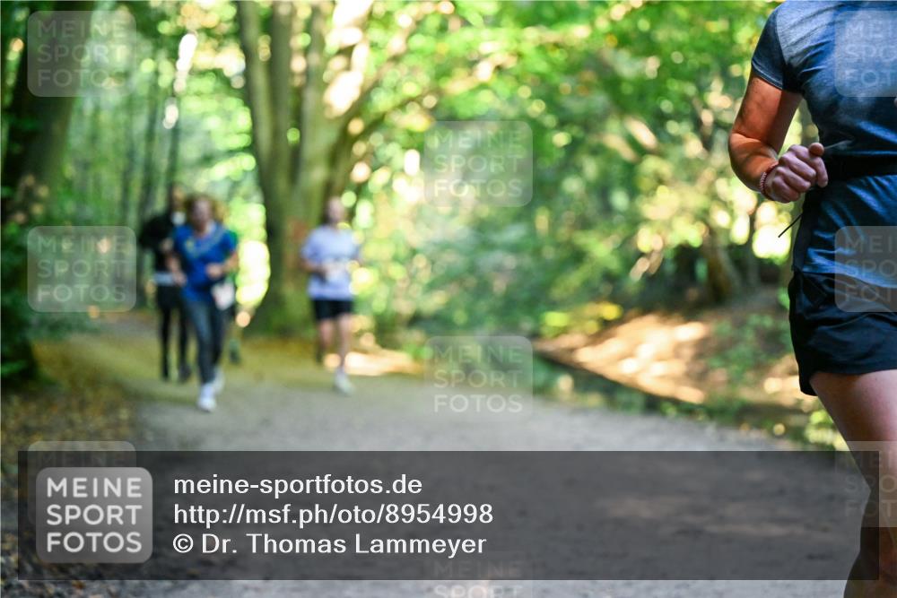 28.09.2025 - 33. Volkslauf durch das schöne Alstertal Dr. Thomas Lammeyer http://msf.ph/oto/8954998 28.09.2025 10:40:25 Laufen  meine-sportfotos.de