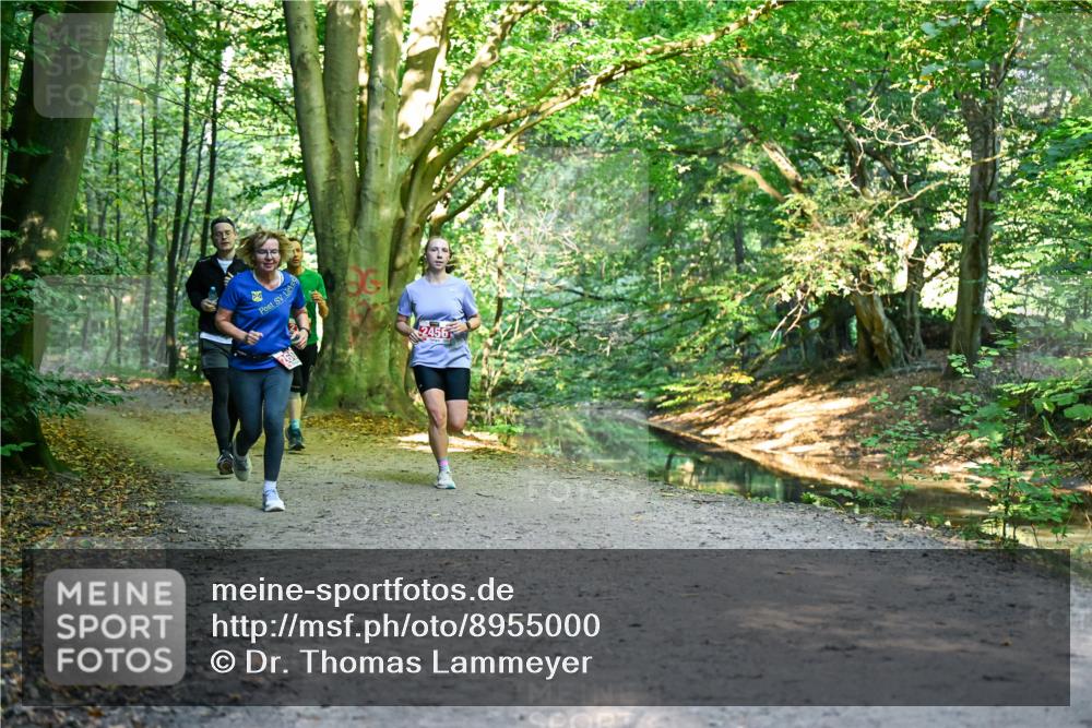 28.09.2025 - 33. Volkslauf durch das schöne Alstertal Dr. Thomas Lammeyer http://msf.ph/oto/8955000 28.09.2025 10:40:25 Laufen 2456 meine-sportfotos.de