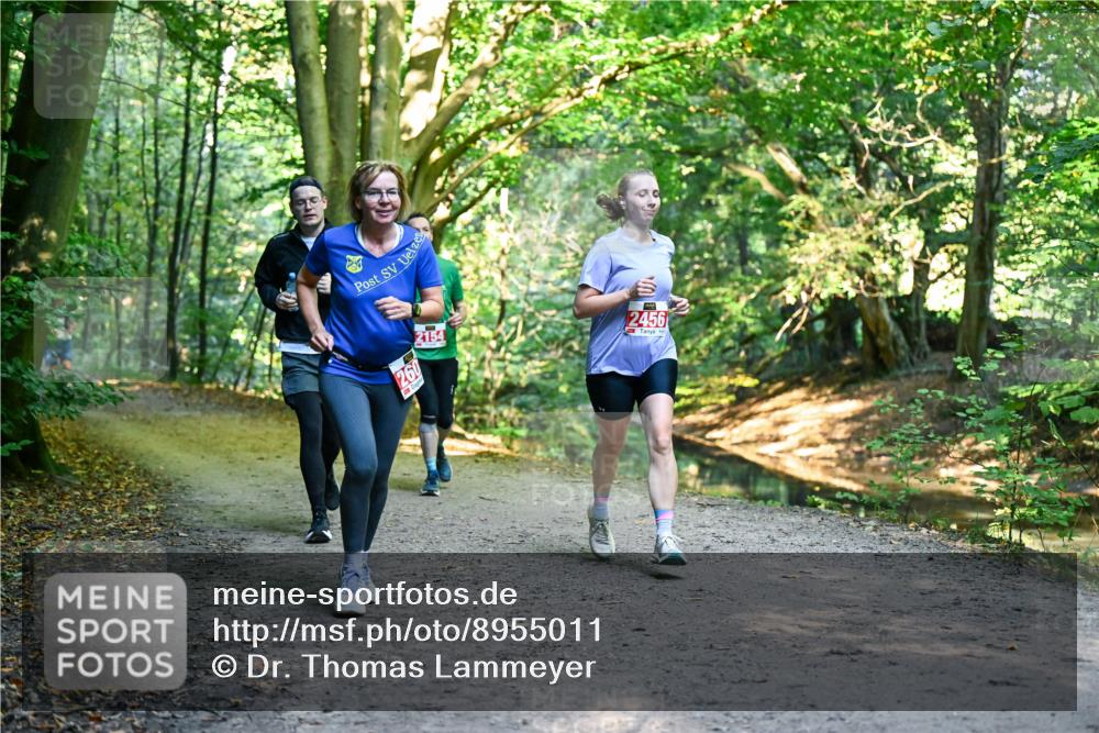 28.09.2025 - 33. Volkslauf durch das schöne Alstertal Dr. Thomas Lammeyer http://msf.ph/oto/8955011 28.09.2025 10:40:27 Laufen 260, 2154, 2456 meine-sportfotos.de
