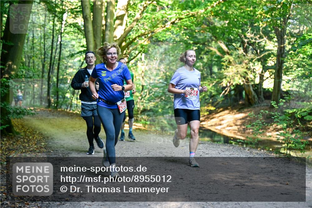 28.09.2025 - 33. Volkslauf durch das schöne Alstertal Dr. Thomas Lammeyer http://msf.ph/oto/8955012 28.09.2025 10:40:27 Laufen 260, 56 meine-sportfotos.de