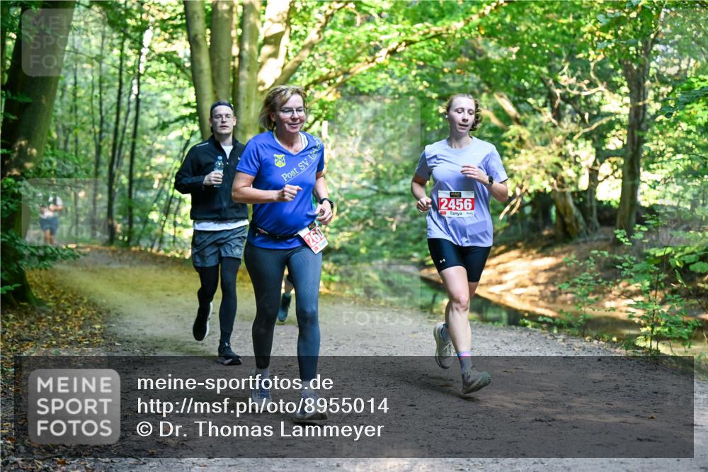 28.09.2025 - 33. Volkslauf durch das schöne Alstertal Dr. Thomas Lammeyer http://msf.ph/oto/8955014 28.09.2025 10:40:27 Laufen 260, 2456 meine-sportfotos.de