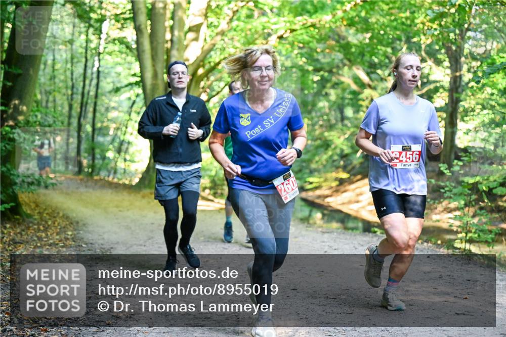 28.09.2025 - 33. Volkslauf durch das schöne Alstertal Dr. Thomas Lammeyer http://msf.ph/oto/8955019 28.09.2025 10:40:28 Laufen 260, 2456 meine-sportfotos.de