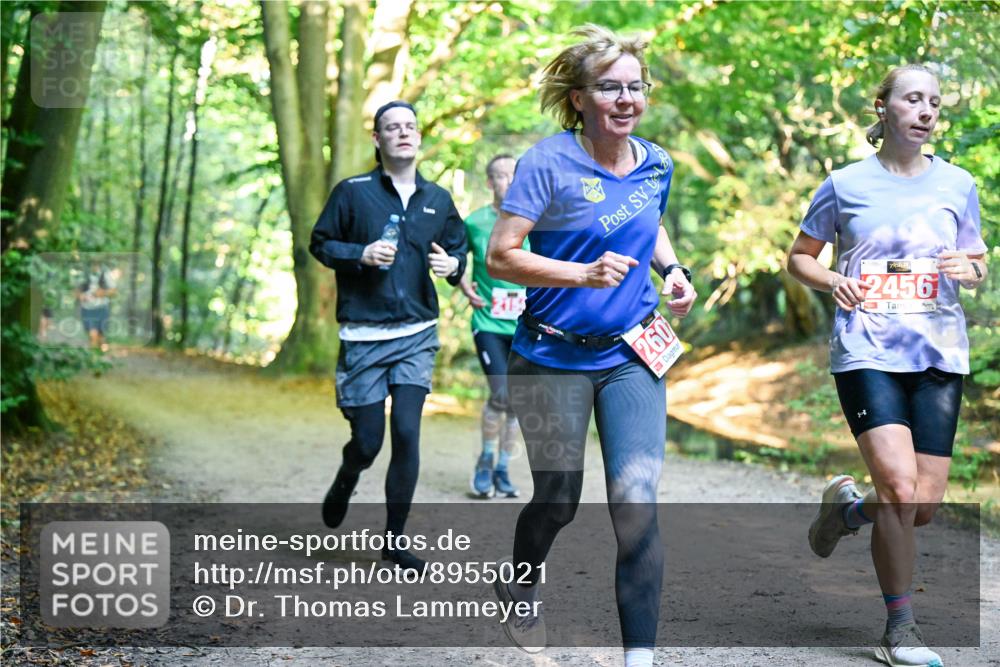 28.09.2025 - 33. Volkslauf durch das schöne Alstertal Dr. Thomas Lammeyer http://msf.ph/oto/8955021 28.09.2025 10:40:28 Laufen 260, 1, 2456 meine-sportfotos.de