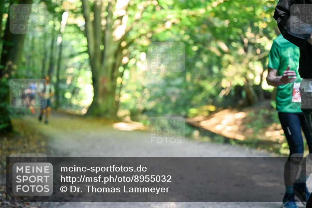 28.09.2025 - 33. Volkslauf durch das schöne Alstertal Dr. Thomas Lammeyer http://msf.ph/oto/8955032 28.09.2025 10:40:30 Laufen  meine-sportfotos.de