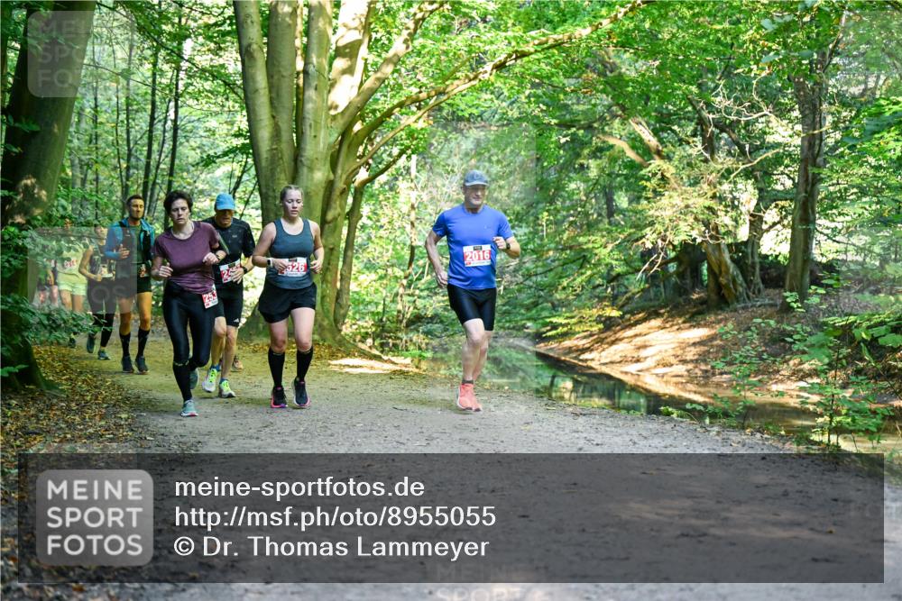 28.09.2025 - 33. Volkslauf durch das schöne Alstertal Dr. Thomas Lammeyer http://msf.ph/oto/8955055 28.09.2025 10:40:36 Laufen 526, 253, 2016 meine-sportfotos.de