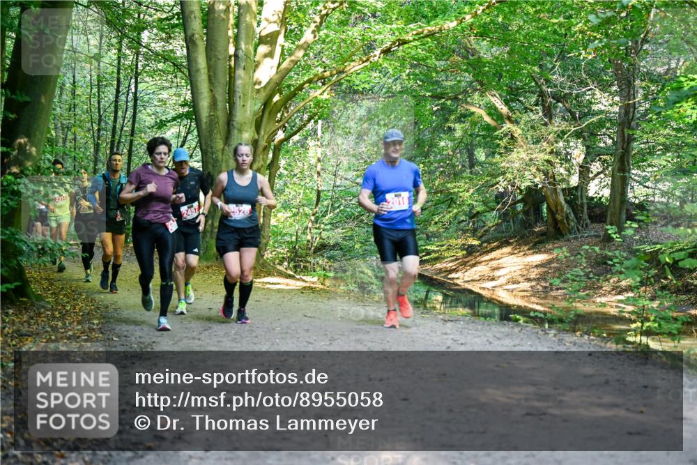 28.09.2025 - 33. Volkslauf durch das schöne Alstertal Dr. Thomas Lammeyer http://msf.ph/oto/8955058 28.09.2025 10:40:37 Laufen 2314, 2457 meine-sportfotos.de