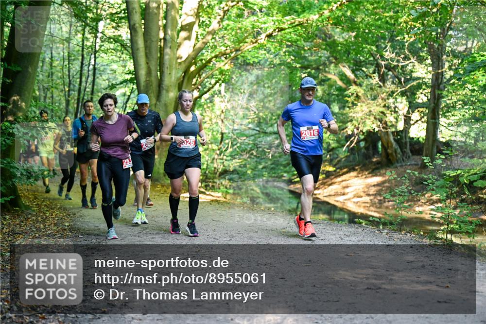 28.09.2025 - 33. Volkslauf durch das schöne Alstertal Dr. Thomas Lammeyer http://msf.ph/oto/8955061 28.09.2025 10:40:37 Laufen 526, 1253, 2016 meine-sportfotos.de