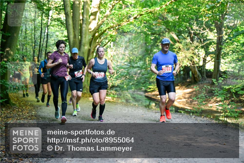 28.09.2025 - 33. Volkslauf durch das schöne Alstertal Dr. Thomas Lammeyer http://msf.ph/oto/8955064 28.09.2025 10:40:37 Laufen 2457, 2526, 2016 meine-sportfotos.de