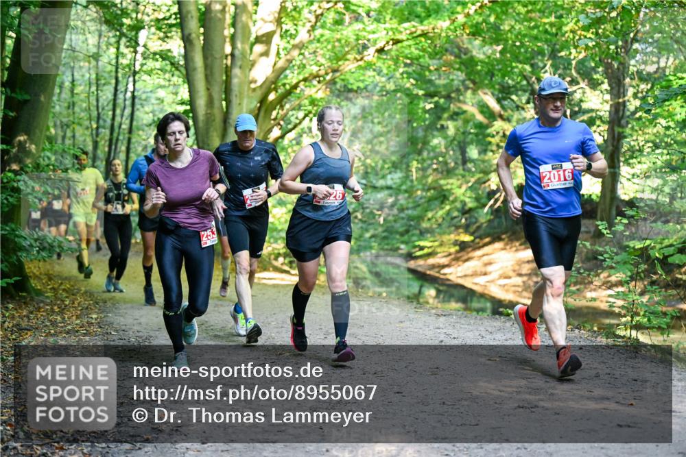 28.09.2025 - 33. Volkslauf durch das schöne Alstertal Dr. Thomas Lammeyer http://msf.ph/oto/8955067 28.09.2025 10:40:38 Laufen 2016 meine-sportfotos.de