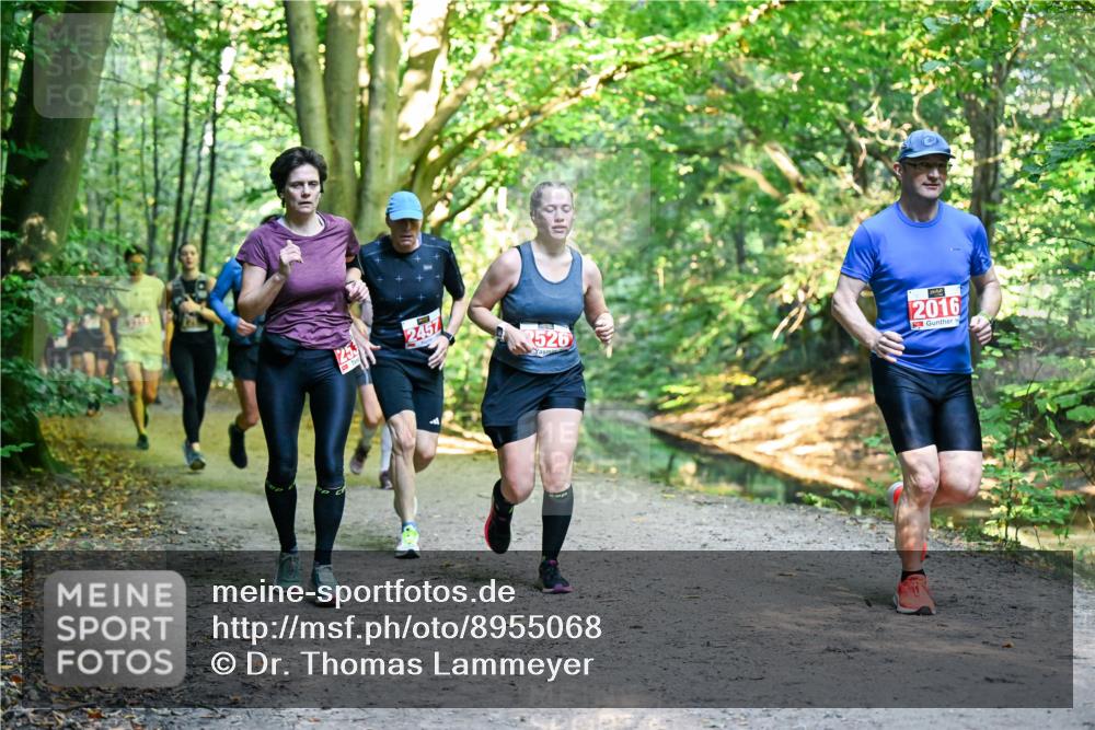 28.09.2025 - 33. Volkslauf durch das schöne Alstertal Dr. Thomas Lammeyer http://msf.ph/oto/8955068 28.09.2025 10:40:38 Laufen 2457, 526, 2016 meine-sportfotos.de
