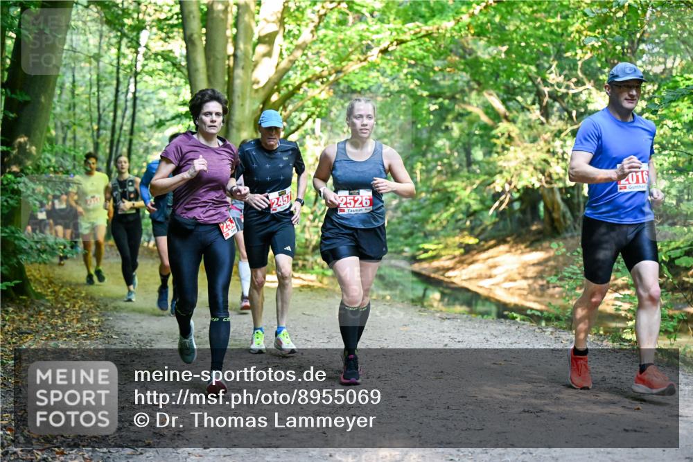 28.09.2025 - 33. Volkslauf durch das schöne Alstertal Dr. Thomas Lammeyer http://msf.ph/oto/8955069 28.09.2025 10:40:38 Laufen 2457, 2526, 2016 meine-sportfotos.de