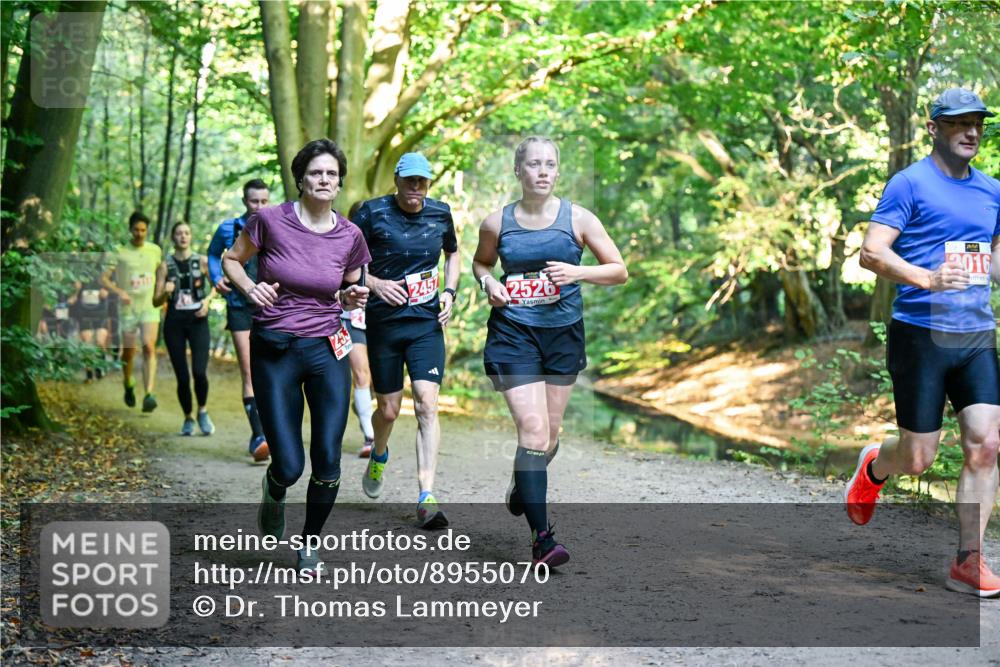 28.09.2025 - 33. Volkslauf durch das schöne Alstertal Dr. Thomas Lammeyer http://msf.ph/oto/8955070 28.09.2025 10:40:38 Laufen 40, 2, 53, 2451, 2526, 2016 meine-sportfotos.de