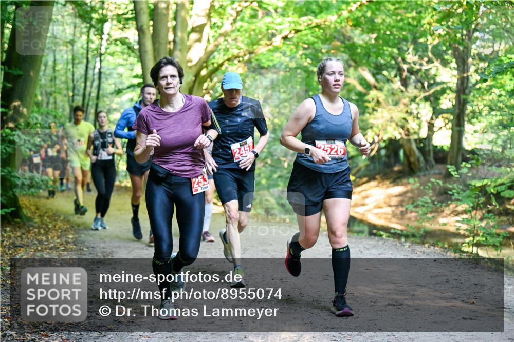 28.09.2025 - 33. Volkslauf durch das schöne Alstertal Dr. Thomas Lammeyer http://msf.ph/oto/8955074 28.09.2025 10:40:39 Laufen 253, 2457, 2526 meine-sportfotos.de