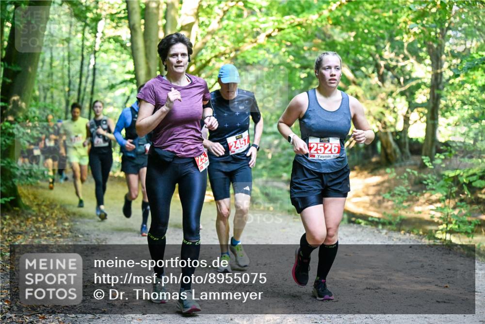 28.09.2025 - 33. Volkslauf durch das schöne Alstertal Dr. Thomas Lammeyer http://msf.ph/oto/8955075 28.09.2025 10:40:39 Laufen 253, 2457, 2526 meine-sportfotos.de