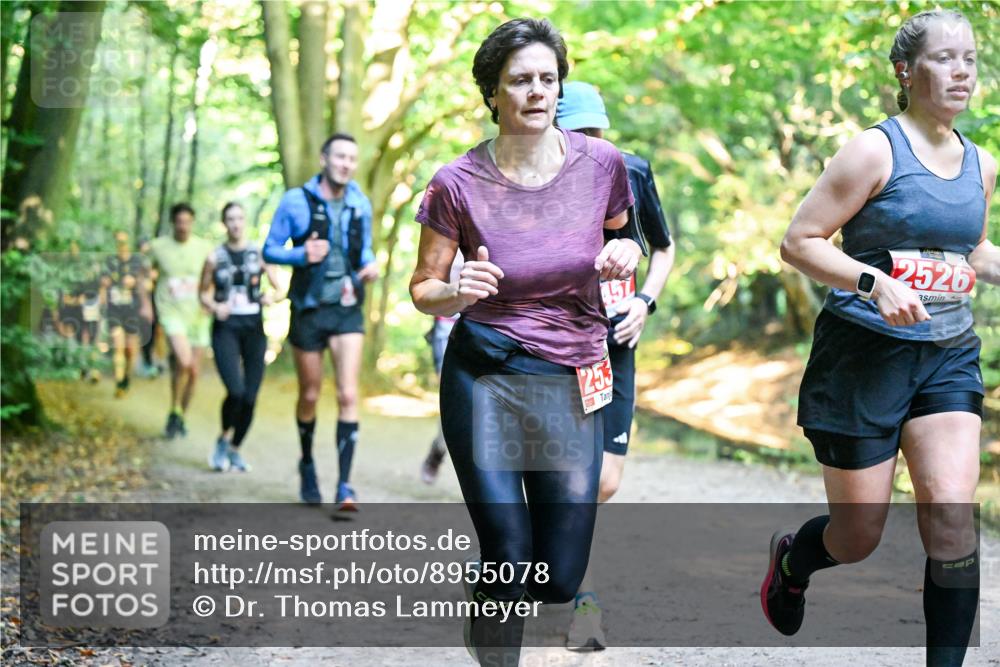 28.09.2025 - 33. Volkslauf durch das schöne Alstertal Dr. Thomas Lammeyer http://msf.ph/oto/8955078 28.09.2025 10:40:39 Laufen 253, 2526 meine-sportfotos.de