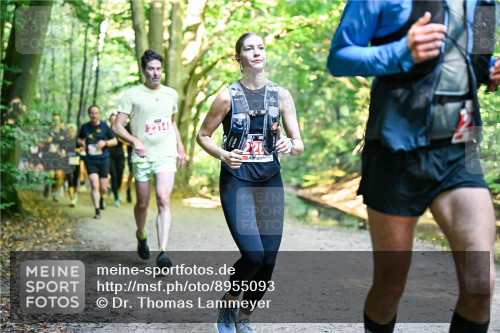28.09.2025 - 33. Volkslauf durch das schöne Alstertal Dr. Thomas Lammeyer http://msf.ph/oto/8955093 28.09.2025 10:40:42 Laufen 314 meine-sportfotos.de