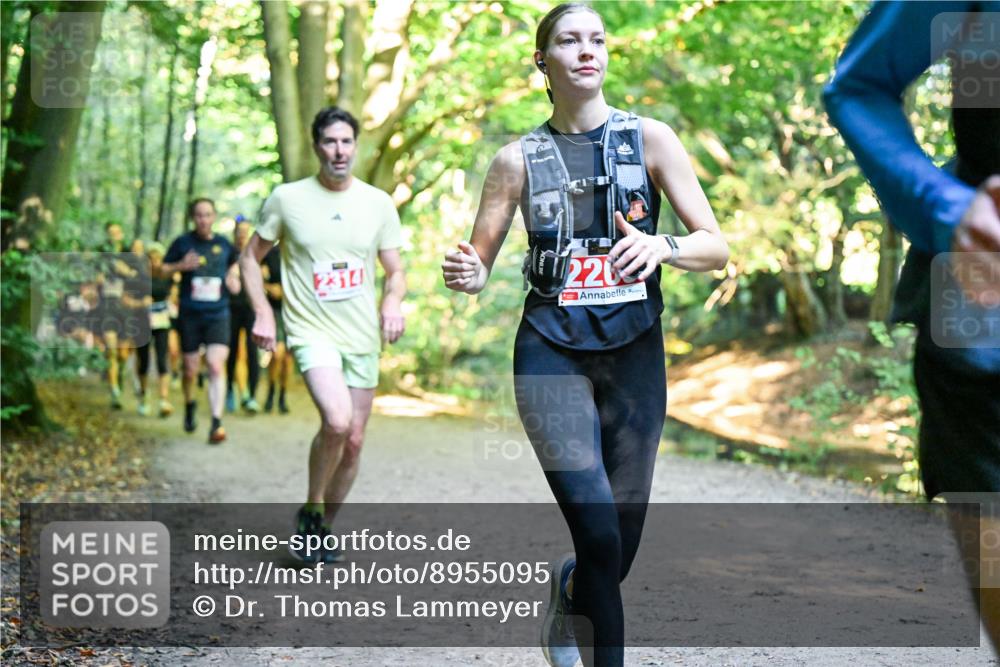 28.09.2025 - 33. Volkslauf durch das schöne Alstertal Dr. Thomas Lammeyer http://msf.ph/oto/8955095 28.09.2025 10:40:42 Laufen 2314, 220 meine-sportfotos.de