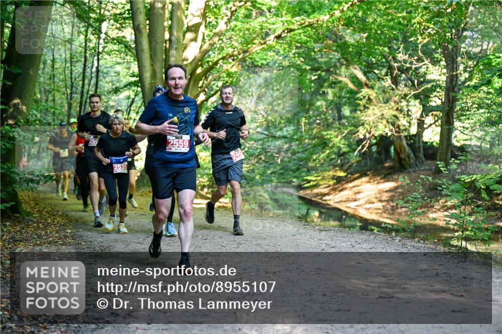 28.09.2025 - 33. Volkslauf durch das schöne Alstertal Dr. Thomas Lammeyer http://msf.ph/oto/8955107 28.09.2025 10:40:44 Laufen 260, 2535, 2559, 246 meine-sportfotos.de