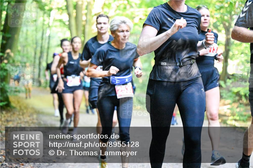 28.09.2025 - 33. Volkslauf durch das schöne Alstertal Dr. Thomas Lammeyer http://msf.ph/oto/8955128 28.09.2025 10:40:47 Laufen 0 meine-sportfotos.de