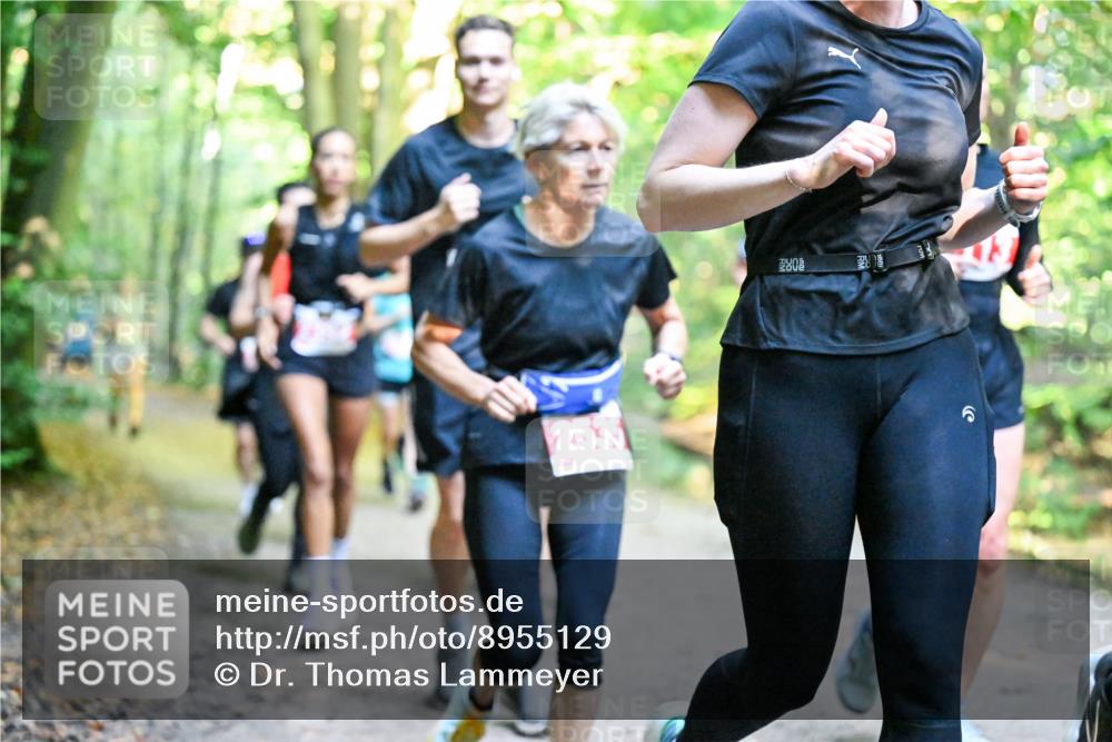 28.09.2025 - 33. Volkslauf durch das schöne Alstertal Dr. Thomas Lammeyer http://msf.ph/oto/8955129 28.09.2025 10:40:47 Laufen  meine-sportfotos.de