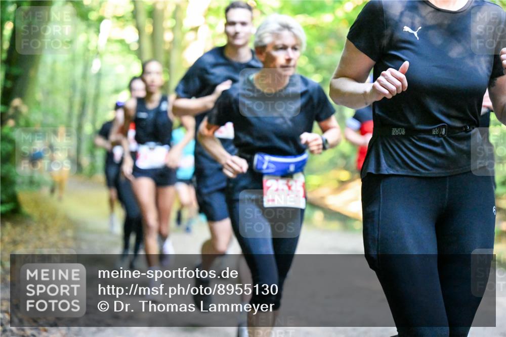 28.09.2025 - 33. Volkslauf durch das schöne Alstertal Dr. Thomas Lammeyer http://msf.ph/oto/8955130 28.09.2025 10:40:47 Laufen 535 meine-sportfotos.de