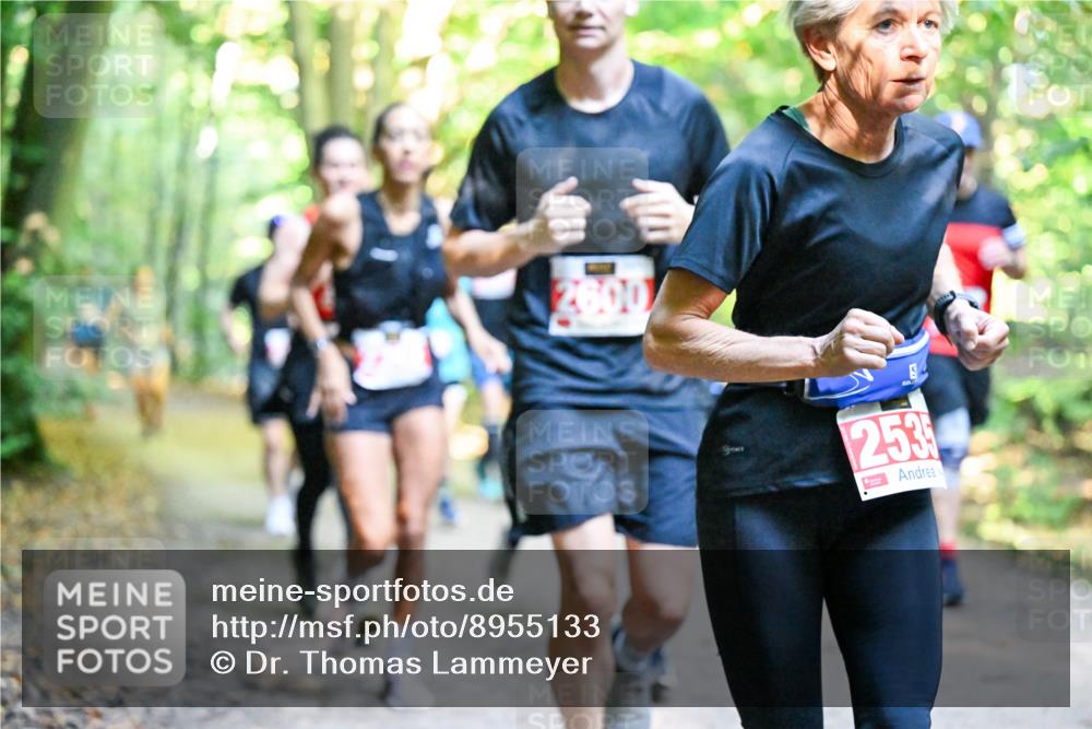 28.09.2025 - 33. Volkslauf durch das schöne Alstertal Dr. Thomas Lammeyer http://msf.ph/oto/8955133 28.09.2025 10:40:48 Laufen 2600, 253 meine-sportfotos.de