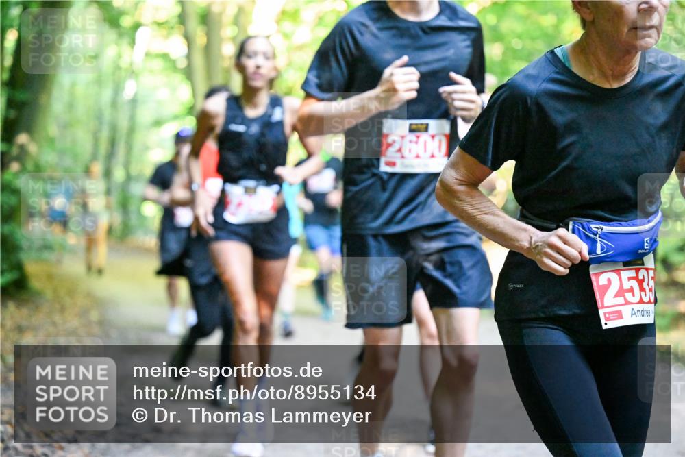28.09.2025 - 33. Volkslauf durch das schöne Alstertal Dr. Thomas Lammeyer http://msf.ph/oto/8955134 28.09.2025 10:40:48 Laufen 2600, 253 meine-sportfotos.de