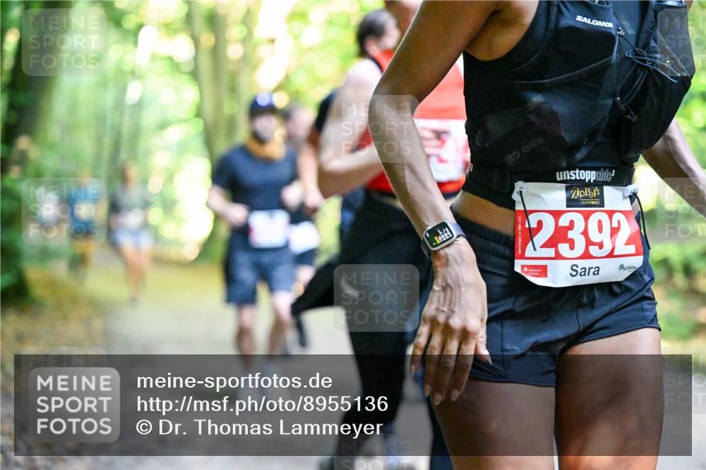 28.09.2025 - 33. Volkslauf durch das schöne Alstertal Dr. Thomas Lammeyer http://msf.ph/oto/8955136 28.09.2025 10:40:49 Laufen 190, 086, 2392 meine-sportfotos.de