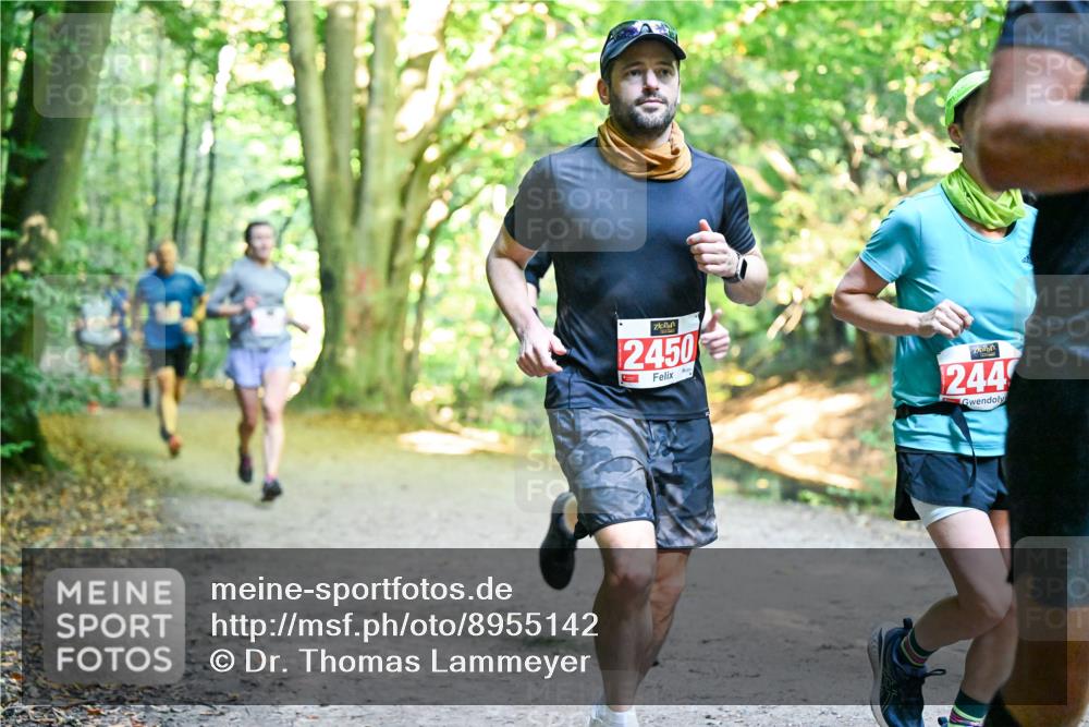 28.09.2025 - 33. Volkslauf durch das schöne Alstertal Dr. Thomas Lammeyer http://msf.ph/oto/8955142 28.09.2025 10:40:50 Laufen 2450, 244 meine-sportfotos.de