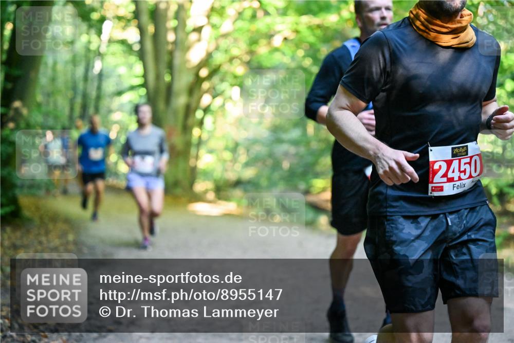 28.09.2025 - 33. Volkslauf durch das schöne Alstertal Dr. Thomas Lammeyer http://msf.ph/oto/8955147 28.09.2025 10:40:51 Laufen 2450 meine-sportfotos.de