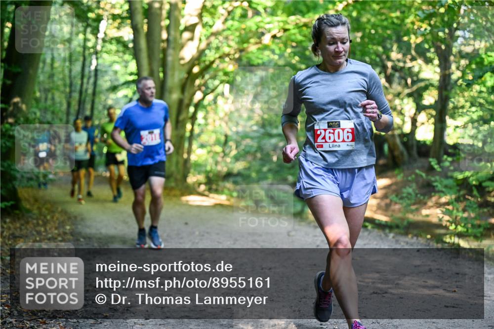 28.09.2025 - 33. Volkslauf durch das schöne Alstertal Dr. Thomas Lammeyer http://msf.ph/oto/8955161 28.09.2025 10:40:53 Laufen 2606 meine-sportfotos.de