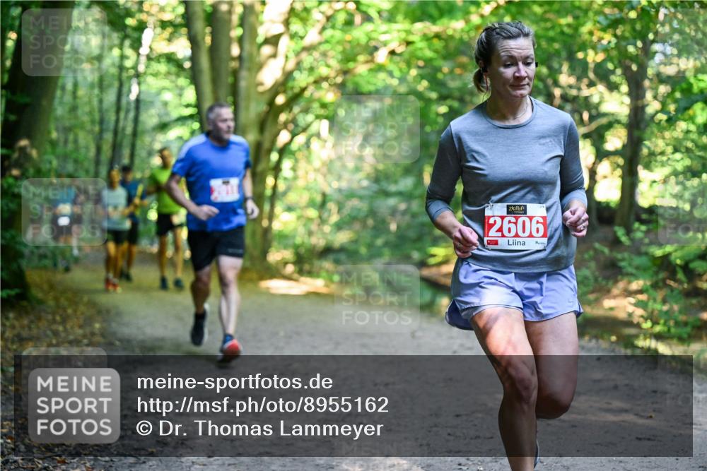 28.09.2025 - 33. Volkslauf durch das schöne Alstertal Dr. Thomas Lammeyer http://msf.ph/oto/8955162 28.09.2025 10:40:53 Laufen 2606 meine-sportfotos.de