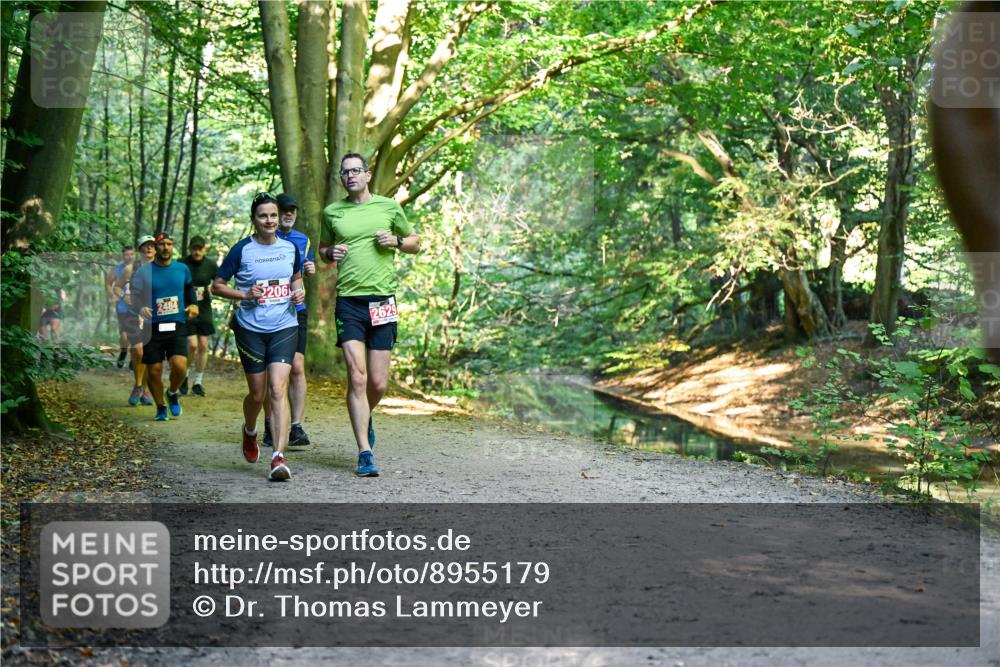 28.09.2025 - 33. Volkslauf durch das schöne Alstertal Dr. Thomas Lammeyer http://msf.ph/oto/8955179 28.09.2025 10:40:56 Laufen 2484, 206, 2629 meine-sportfotos.de
