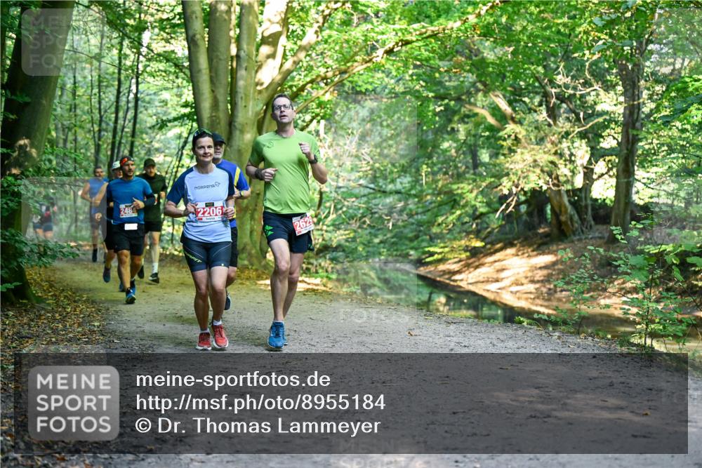 28.09.2025 - 33. Volkslauf durch das schöne Alstertal Dr. Thomas Lammeyer http://msf.ph/oto/8955184 28.09.2025 10:40:56 Laufen 2484, 2206, 2629 meine-sportfotos.de