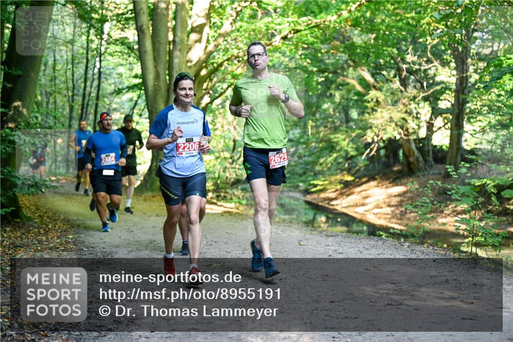 28.09.2025 - 33. Volkslauf durch das schöne Alstertal Dr. Thomas Lammeyer http://msf.ph/oto/8955191 28.09.2025 10:40:57 Laufen 2484, 2206, 2629 meine-sportfotos.de